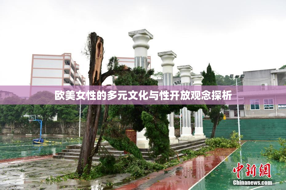 欧美女性的多元文化与性开放观念探析