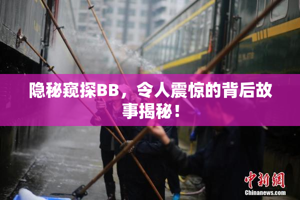 隐秘窥探BB，令人震惊的背后故事揭秘！