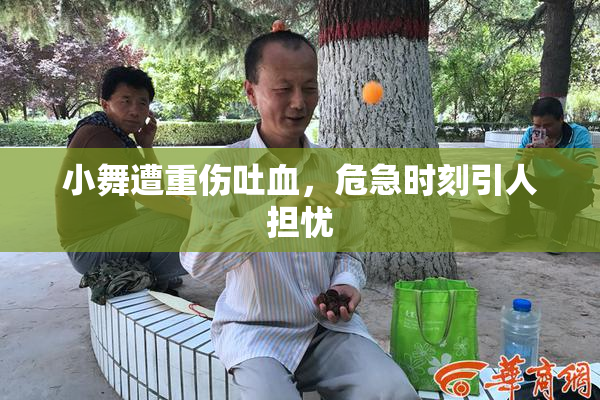 小舞遭重伤吐血，危急时刻引人担忧