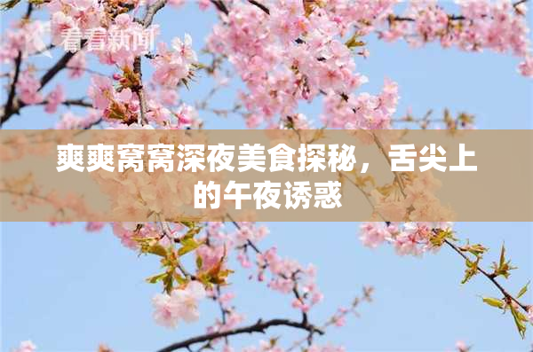 爽爽窝窝深夜美食探秘，舌尖上的午夜诱惑