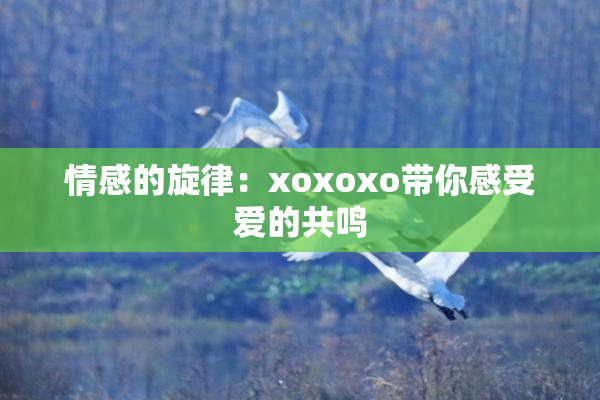 情感的旋律：xoxoxo带你感受爱的共鸣