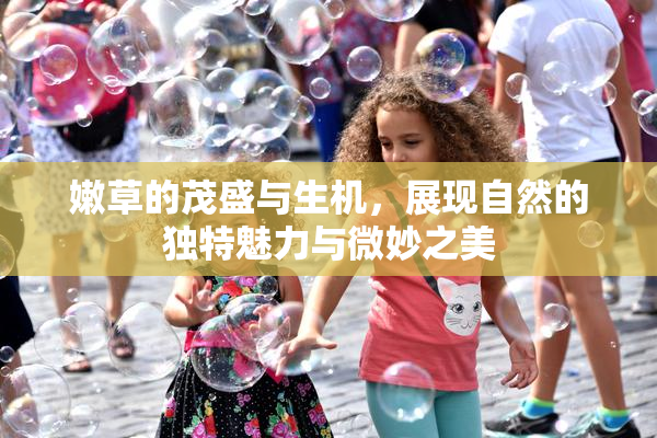 嫩草的茂盛与生机，展现自然的独特魅力与微妙之美