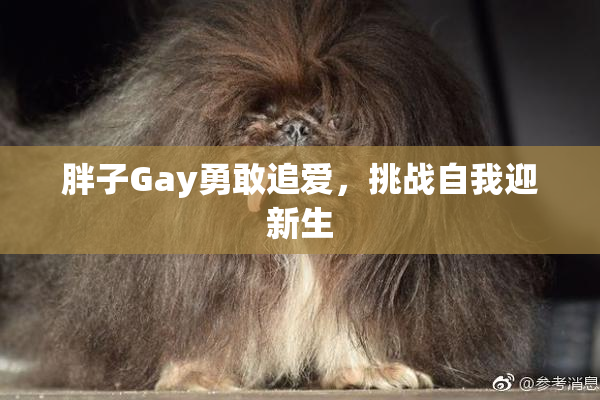 胖子Gay勇敢追爱，挑战自我迎新生