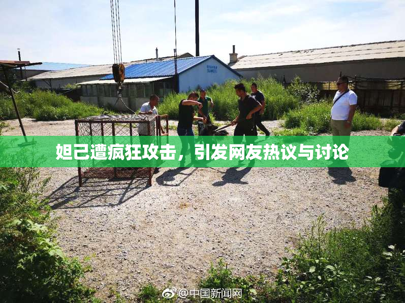 妲己遭疯狂攻击，引发网友热议与讨论