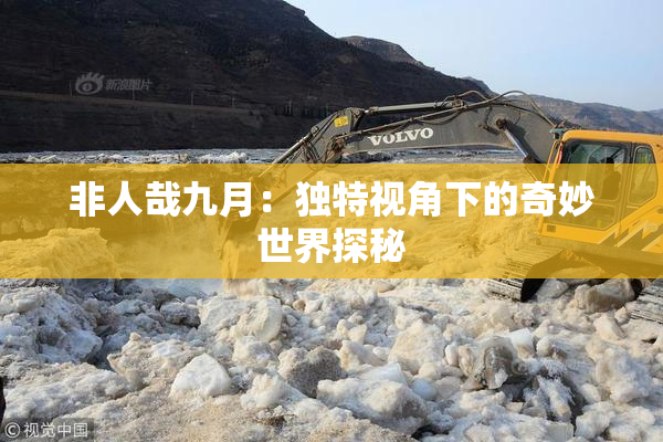 非人哉九月：独特视角下的奇妙世界探秘