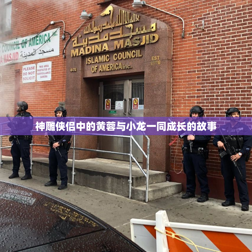 神雕侠侣中的黄蓉与小龙一同成长的故事