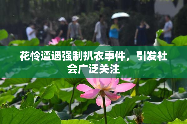 花怜遭遇强制扒衣事件，引发社会广泛关注
