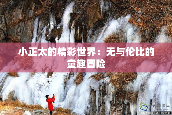 小正太的精彩世界：无与伦比的童趣冒险