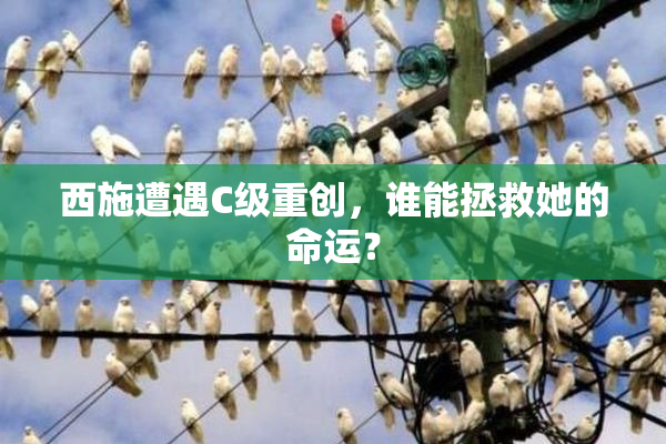 西施遭遇C级重创，谁能拯救她的命运？