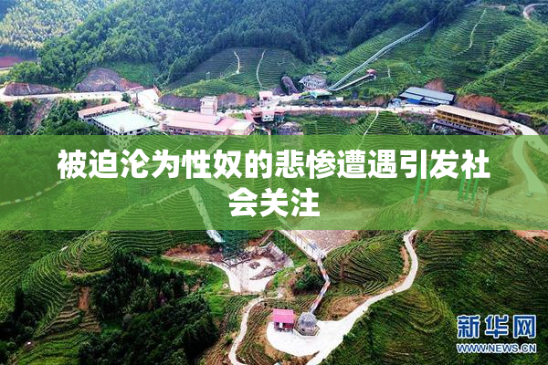 被迫沦为性奴的悲惨遭遇引发社会关注