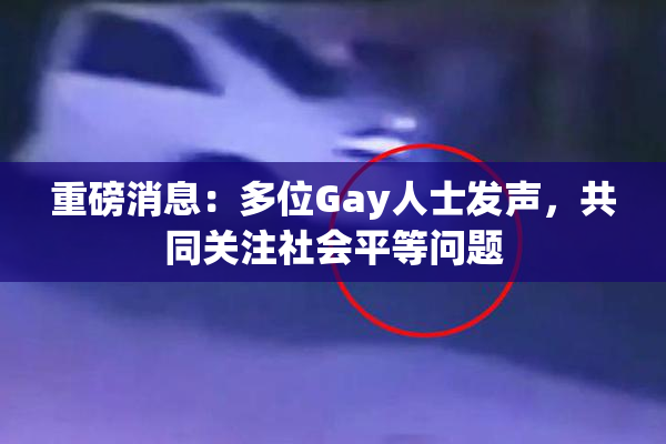 重磅消息：多位Gay人士发声，共同关注社会平等问题