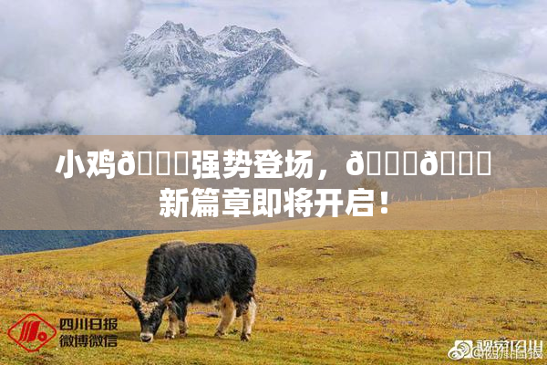 小鸡🐔强势登场，🍑🔞新篇章即将开启！