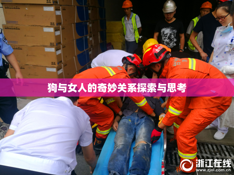 狗与女人的奇妙关系探索与思考