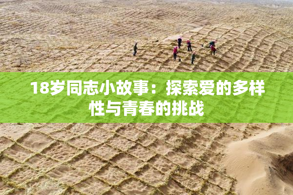 18岁同志小故事：探索爱的多样性与青春的挑战