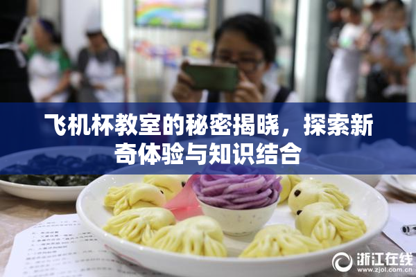 飞机杯教室的秘密揭晓，探索新奇体验与知识结合
