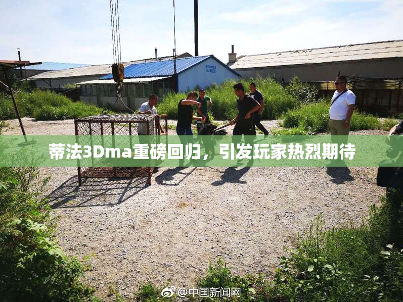 蒂法3Dma重磅回归，引发玩家热烈期待