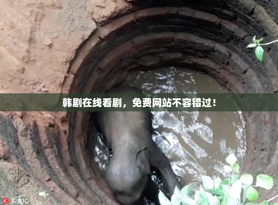 韩剧在线看剧，免费网站不容错过！