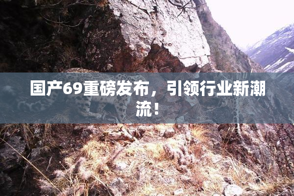 国产69重磅发布，引领行业新潮流！