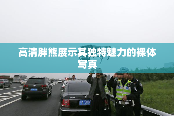 高清胖熊展示其独特魅力的裸体写真