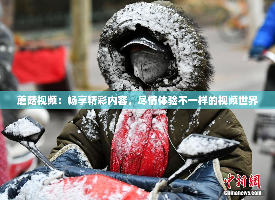 蘑菇视频：畅享精彩内容，尽情体验不一样的视频世界