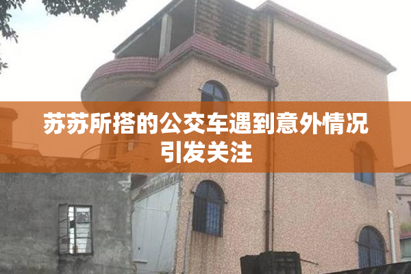 苏苏所搭的公交车遇到意外情况引发关注