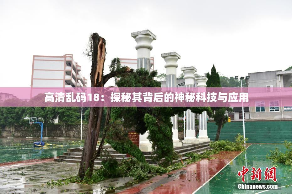 高清乱码18：探秘其背后的神秘科技与应用