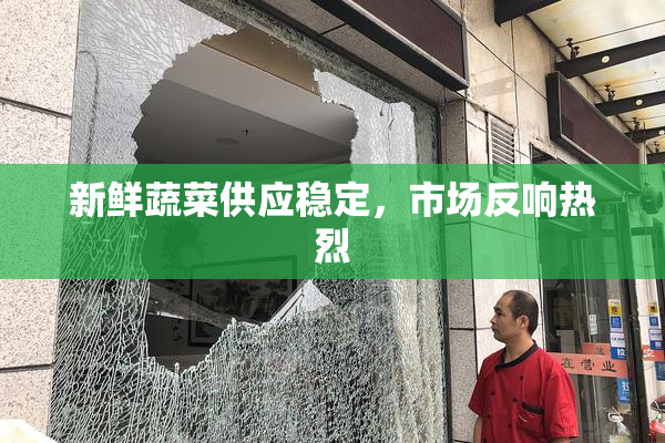 新鲜蔬菜供应稳定，市场反响热烈