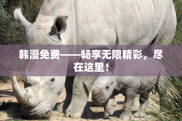 韩漫免费——畅享无限精彩，尽在这里！