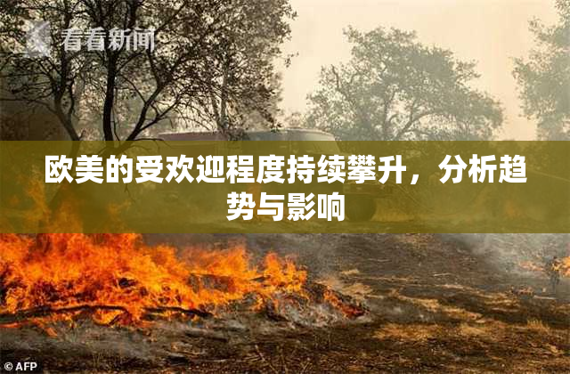 欧美的受欢迎程度持续攀升，分析趋势与影响