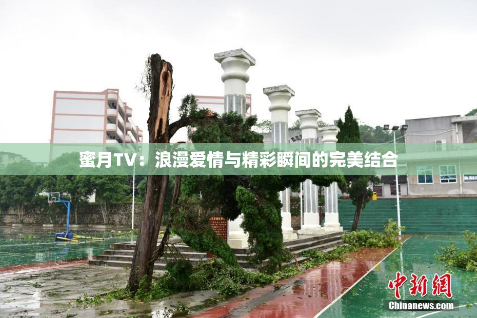 蜜月TV：浪漫爱情与精彩瞬间的完美结合