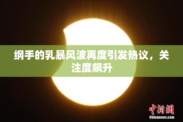 纲手的乳暴风波再度引发热议，关注度飙升