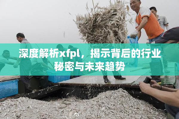 深度解析xfpl，揭示背后的行业秘密与未来趋势