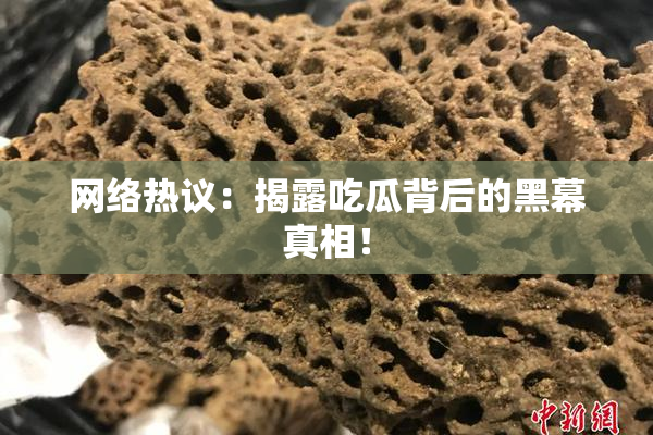 网络热议：揭露吃瓜背后的黑幕真相！