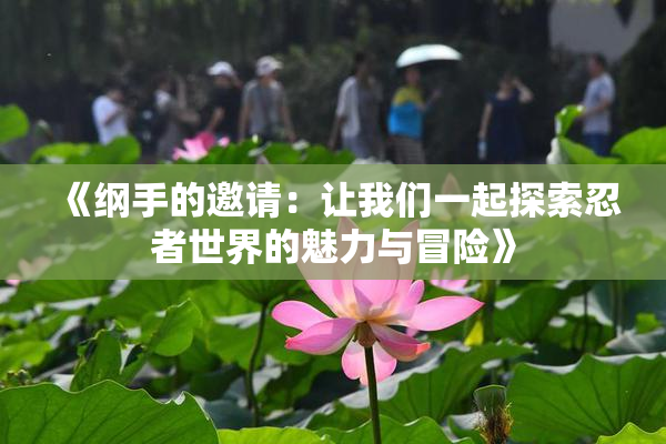 《纲手的邀请：让我们一起探索忍者世界的魅力与冒险》