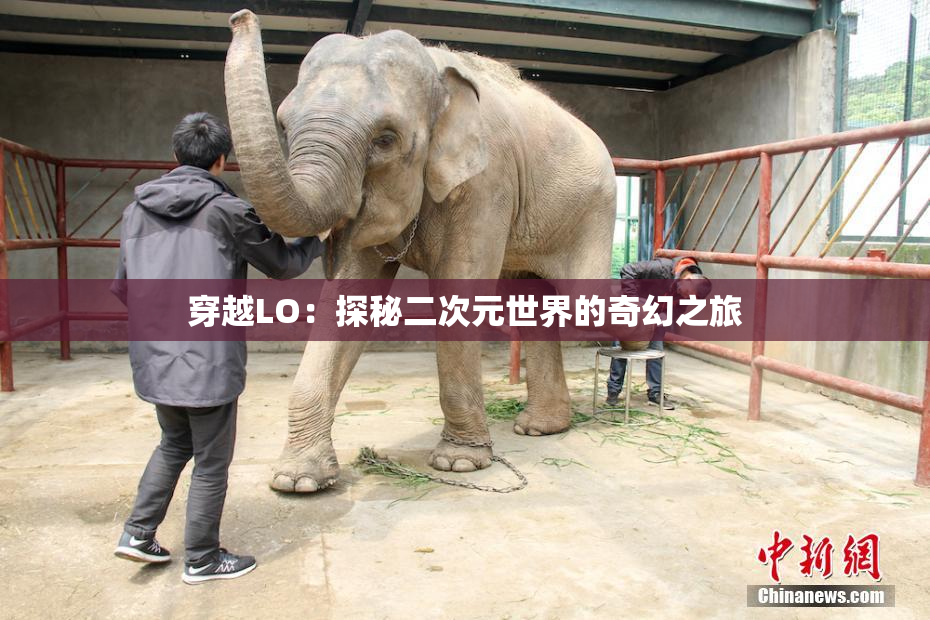 穿越LO：探秘二次元世界的奇幻之旅