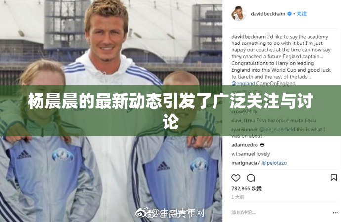 杨晨晨的最新动态引发了广泛关注与讨论
