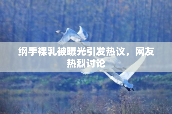 纲手裸乳被曝光引发热议，网友热烈讨论