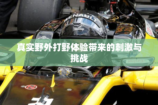 真实野外打野体验带来的刺激与挑战