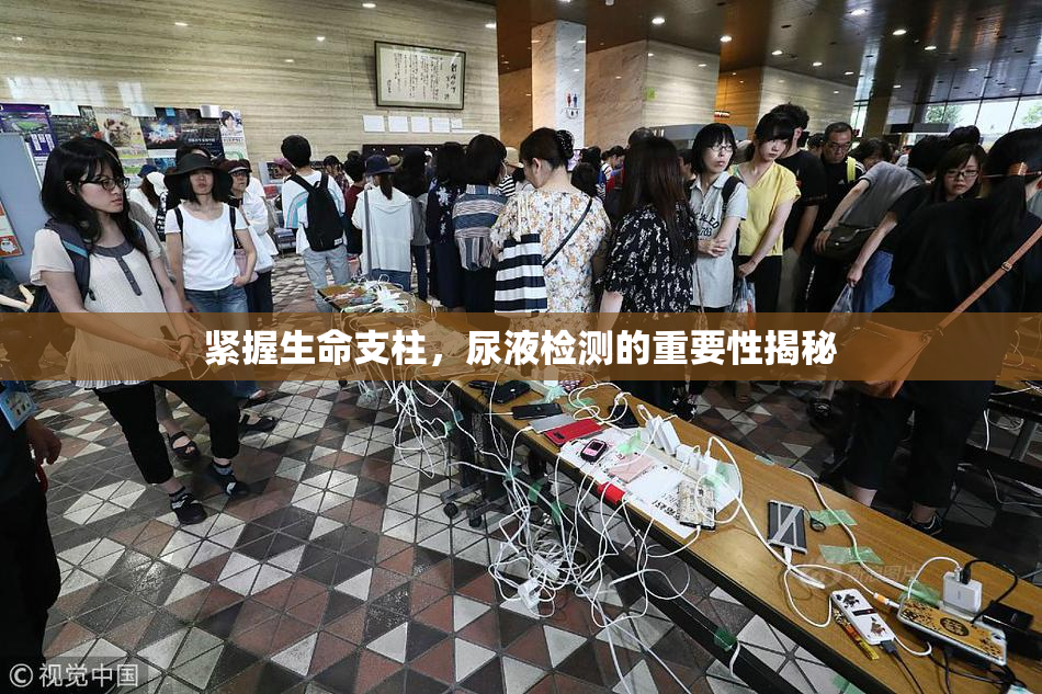 紧握生命支柱，尿液检测的重要性揭秘