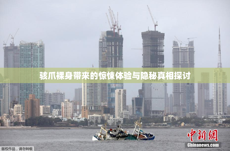 骇爪裸身带来的惊悚体验与隐秘真相探讨