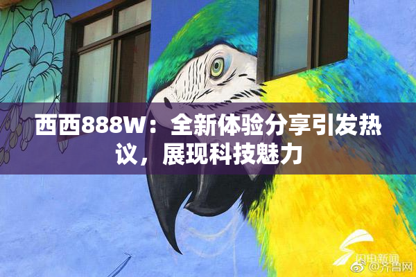 西西888W：全新体验分享引发热议，展现科技魅力