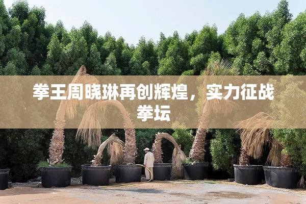 拳王周晓琳再创辉煌，实力征战拳坛