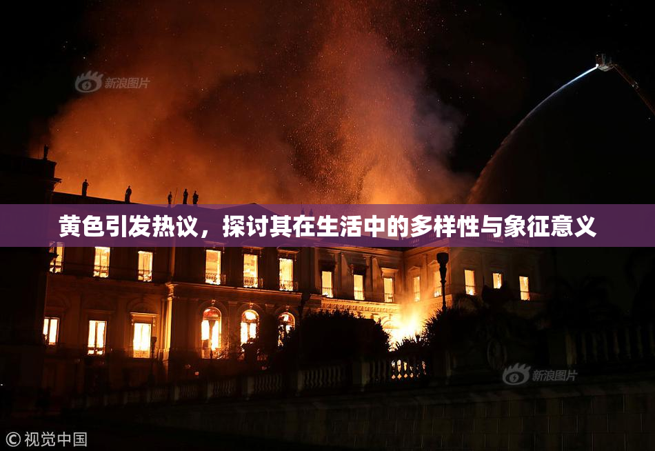黄色引发热议，探讨其在生活中的多样性与象征意义