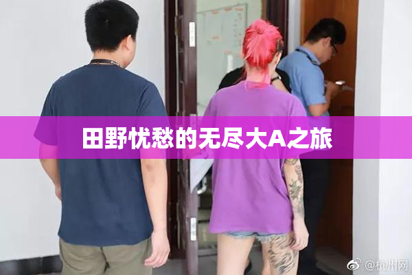 田野忧愁的无尽大A之旅