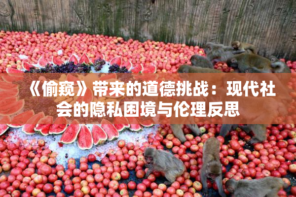 《偷窥》带来的道德挑战：现代社会的隐私困境与伦理反思