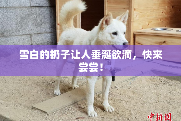 雪白的扔子让人垂涎欲滴，快来尝尝！