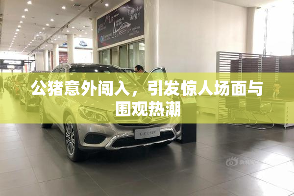 公猪意外闯入，引发惊人场面与围观热潮