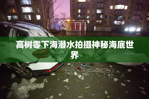 高树零下海潜水拍摄神秘海底世界