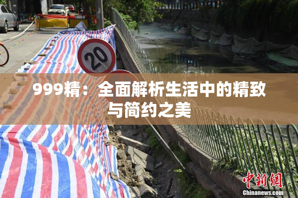 999精：全面解析生活中的精致与简约之美