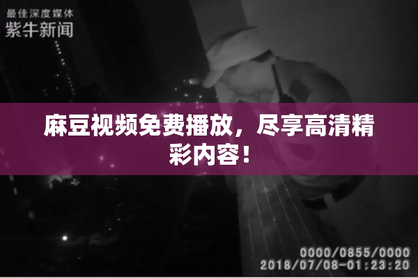 麻豆视频免费播放，尽享高清精彩内容！